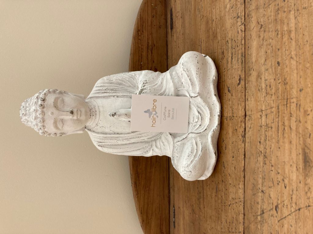 salon_coiffure_albi_hairlibre6